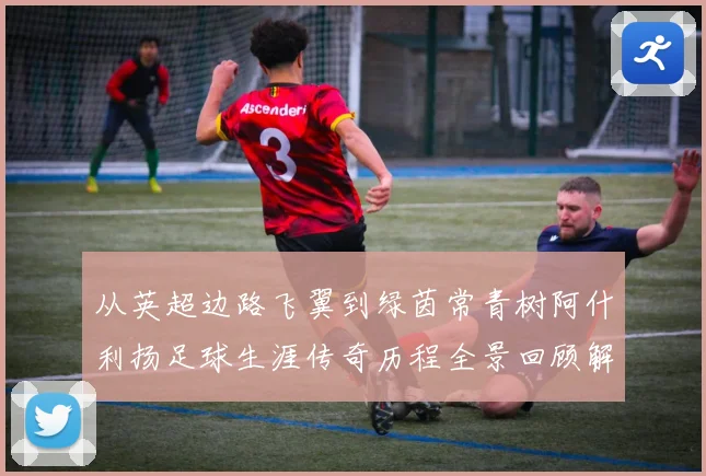 从英超边路飞翼到绿茵常青树阿什利扬足球生涯传奇历程全景回顾解析
