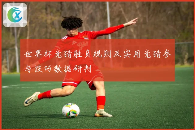 世界杯竞猜胜负规则及实用竞猜参与技巧数据研判