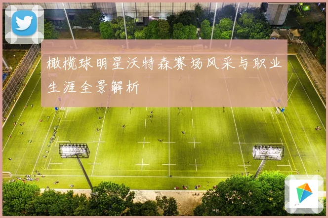 橄榄球明星沃特森赛场风采与职业生涯全景解析