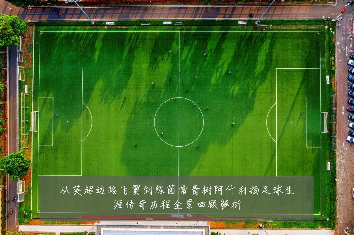 从英超边路飞翼到绿茵常青树阿什利扬足球生涯传奇历程全景回顾解析