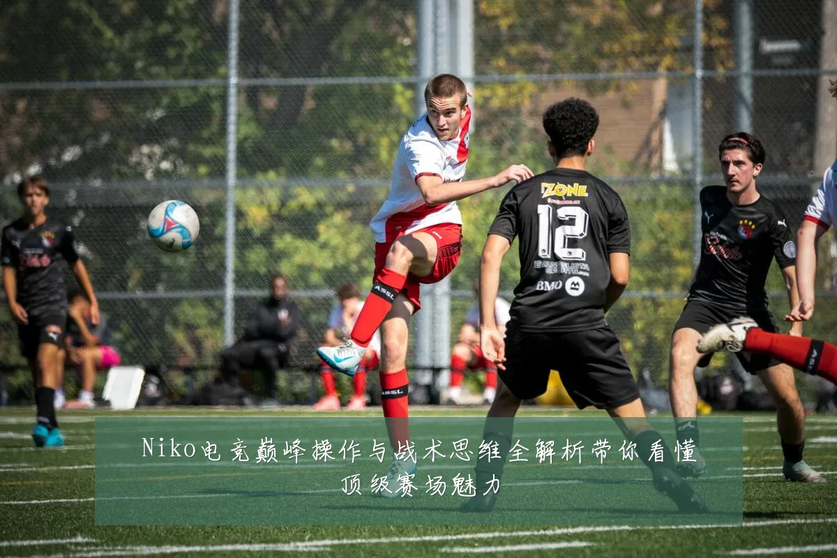 Niko电竞巅峰操作与战术思维全解析带你看懂顶级赛场魅力