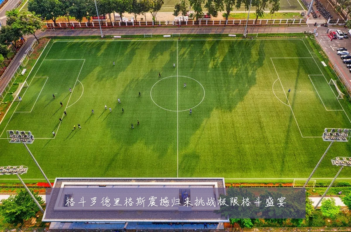 格斗罗德里格斯震撼归来挑战极限格斗盛宴