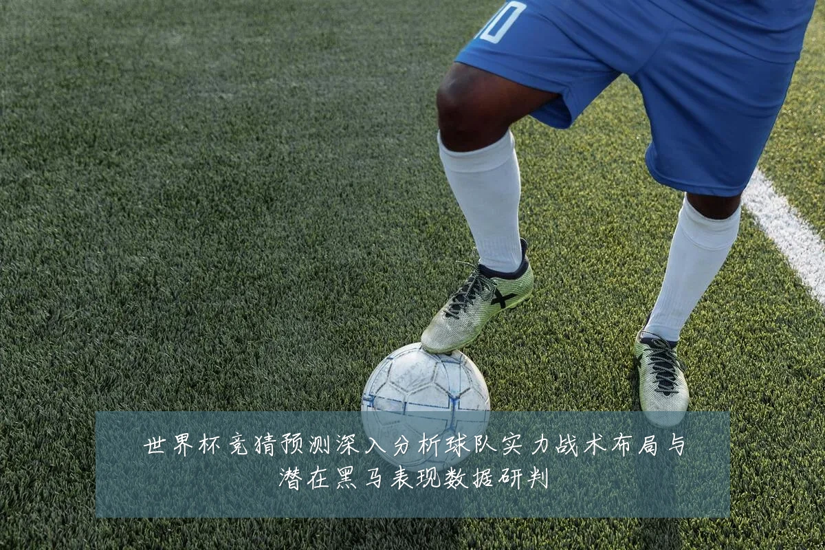 世界杯竞猜预测深入分析球队实力战术布局与潜在黑马表现数据研判